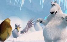 NORM OF THE NORTH', perjuangan beruang untuk kutub utara