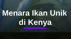 Video Peternak Kenya Bangun "Menara Ikan" Hemat Air #Mdkdw26 13 May 2026