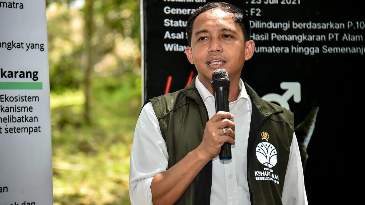 4 Subyek Hukum Disegel Terkait Bencana Sumatera, Menhut Raja: Masih Ada 8 Menyusul