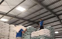 Bulog Pastikan Stok Beras Singkawang Aman Hingga Enam Bulan ke Depan