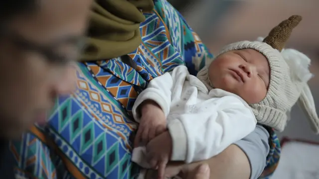 [Bintang] Poppy Bunga