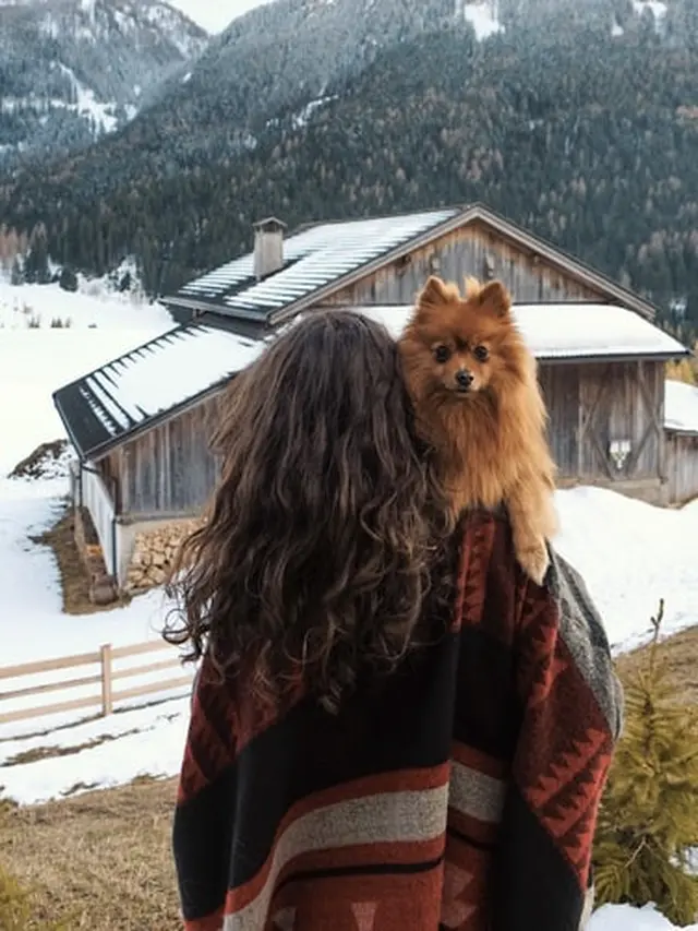 Jenis Anjing Kecil Lucu