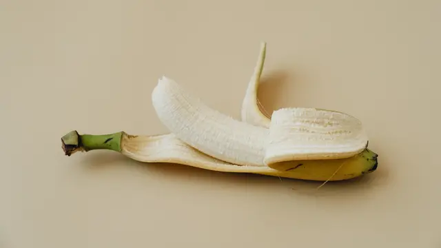 Memiliki Bentuk yang Membulat