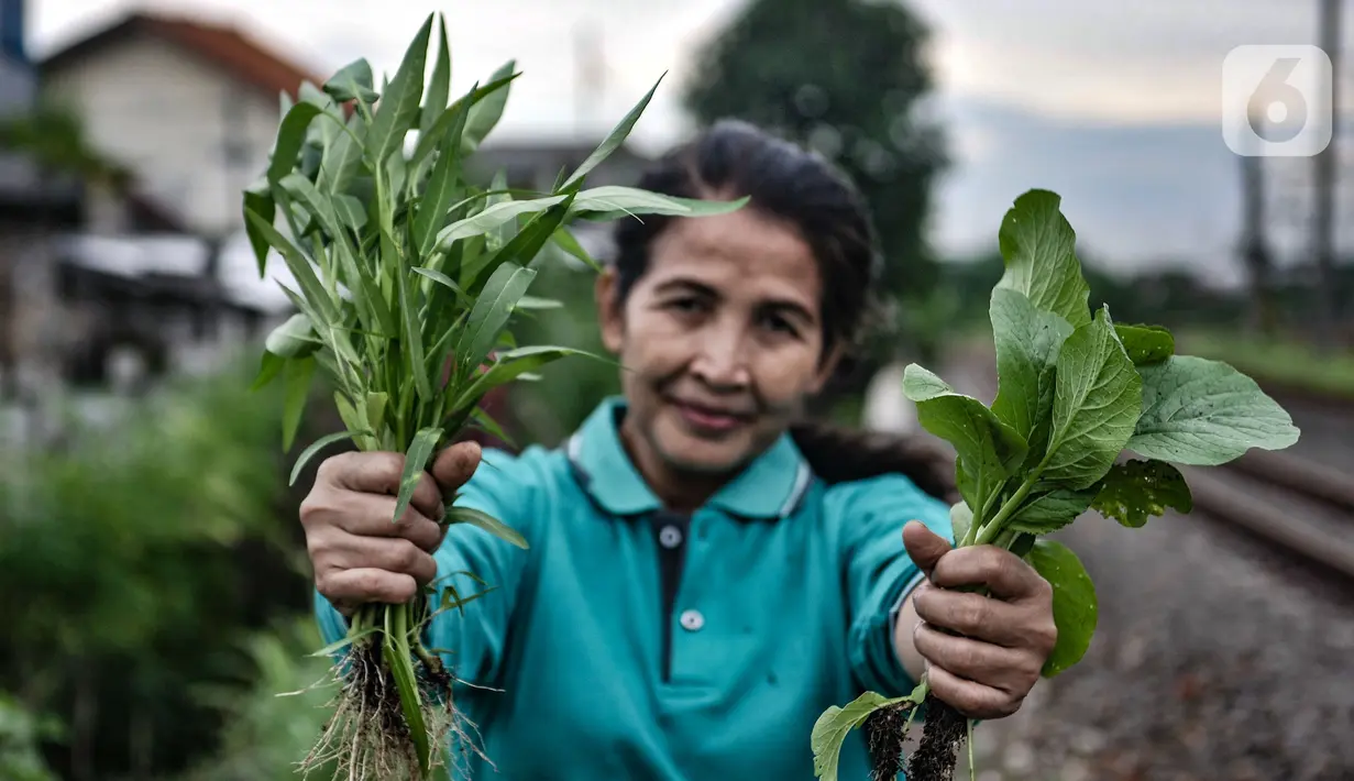 Wiwin (51) menunjukkan sayur hasil panen di Kebun Kesehatan, RT 004/008, Cipinang Lontar, Jakarta, Senin (8/3/2021). Wiwin berharap pemerintah terkait dapat mendukung penuh agar lingkungan bantaran rel kereta di Jakarta menjadi lebih bermanfaat. (merdeka.com/Iqbal S Nugroho)