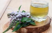 6 Resep Jamu Rebus Daun yang Ampuh Mencegah Kulit Keriput