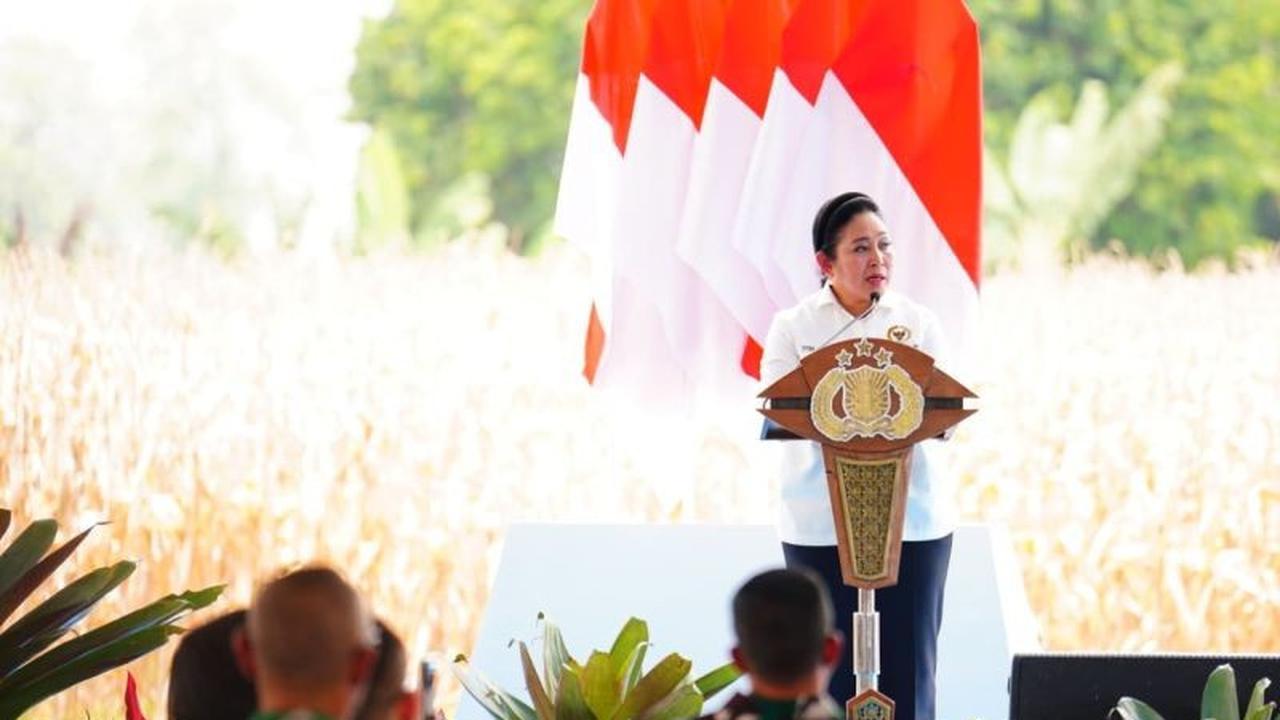 Fakta Unik: Polri Sukses Panen Raya Jagung 11,18 Juta Ton, Dukung Ketahanan Pangan Nasional