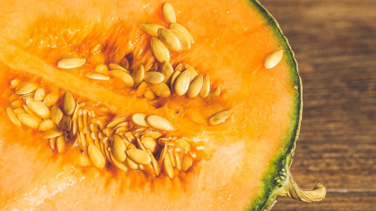 Melon