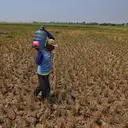 Delapan Daerah di Sulut Kena Imbas El Nino