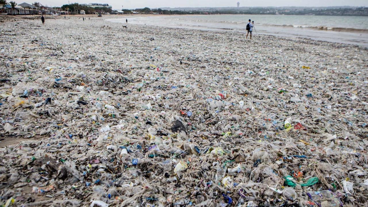 FOTO: Aksi Bersihkan Sampah di Pantai Jimbaran Bali
