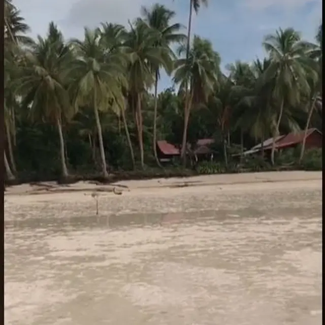 Viral Video Pria Jalan ke Tengah Laut yang Airnya Sedang Kering