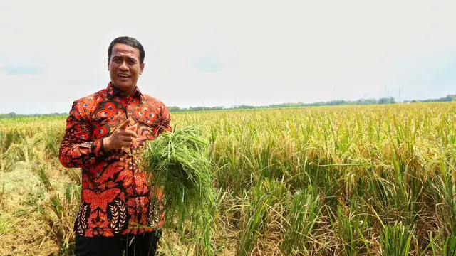 Kementan Raih Opini WTP Tiga Tahun Berturut-Turut, Pertama Dalam Sejarah