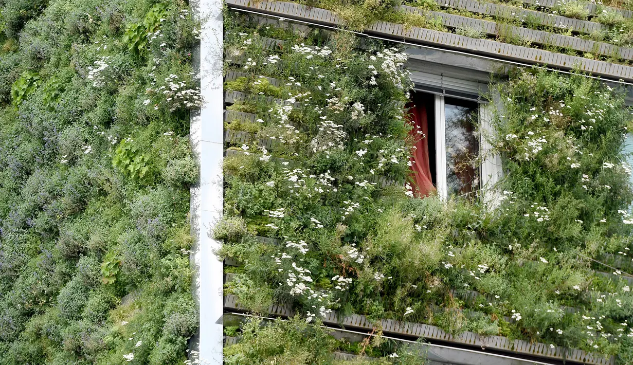 Fasad gedung kantor pusat MA 48 yang rimbun menghijau di Wina, Austria, 22 Juli 2020. Fasad kantor ini dilapisi tanaman hijau, yang memiliki efek membentuk iklim mikro, melindungi rangka bangunan dari hujan dan tumpukan kotoran, melindungi dari kebisingan, dan menyejukkan. (Xinhua/Guo Chen)