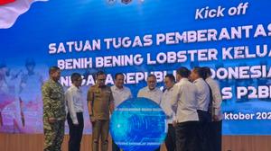 Bentuk Satgas BBL, Pemerintah Bakal Sikat Penyelundup Lobster