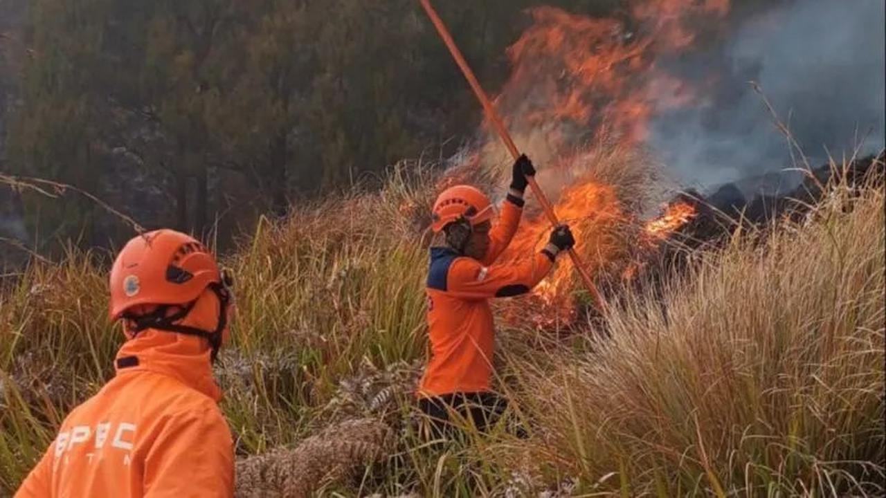 Enam Petugas Gugur di Bromo, BNPB Evaluasi Penanganan Karhutla