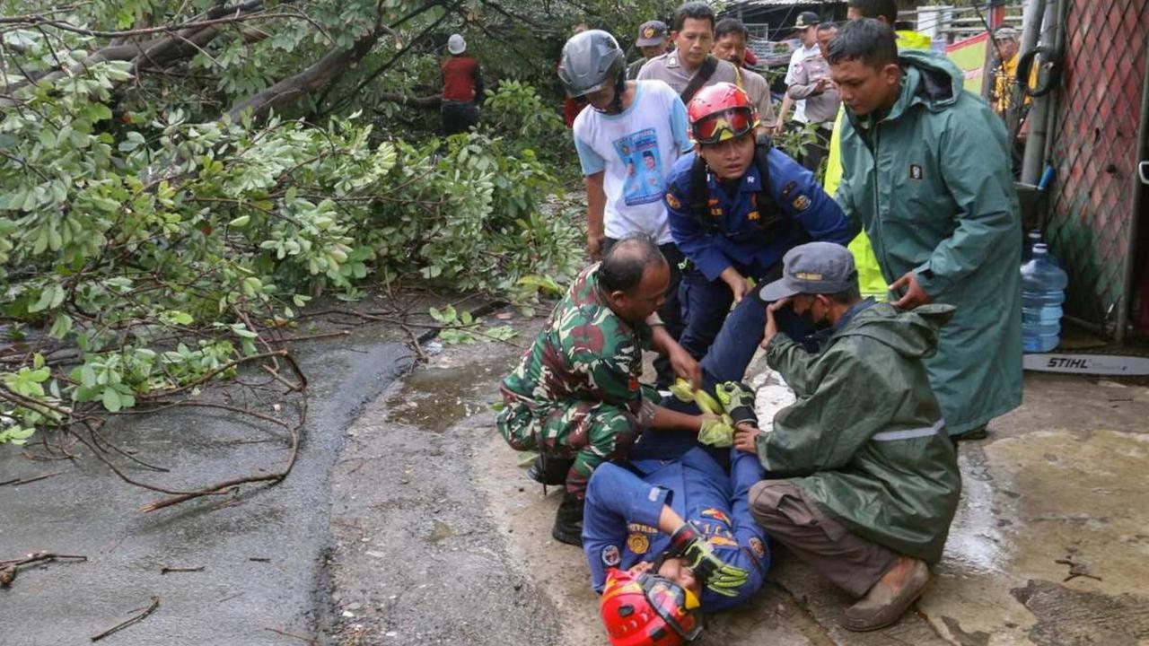 Pohon tumbang di Depok