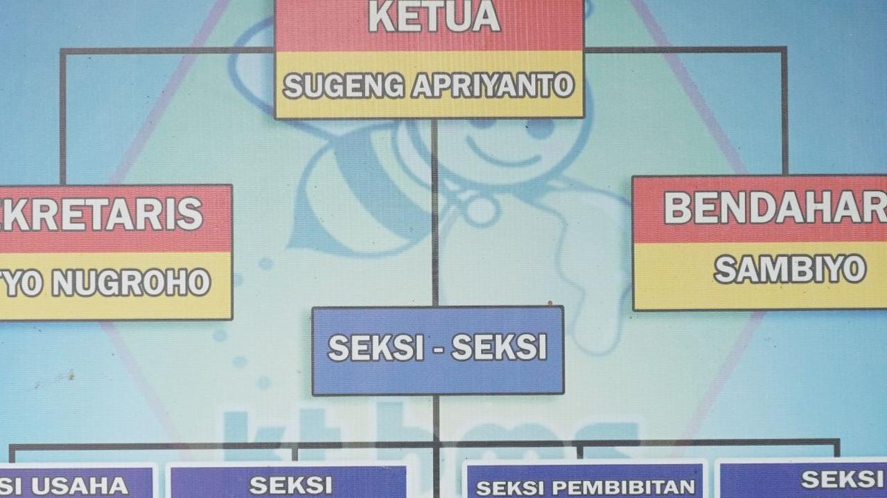 Manfaat Kesehatan sampai Ekonomi dari Madu Lanceng