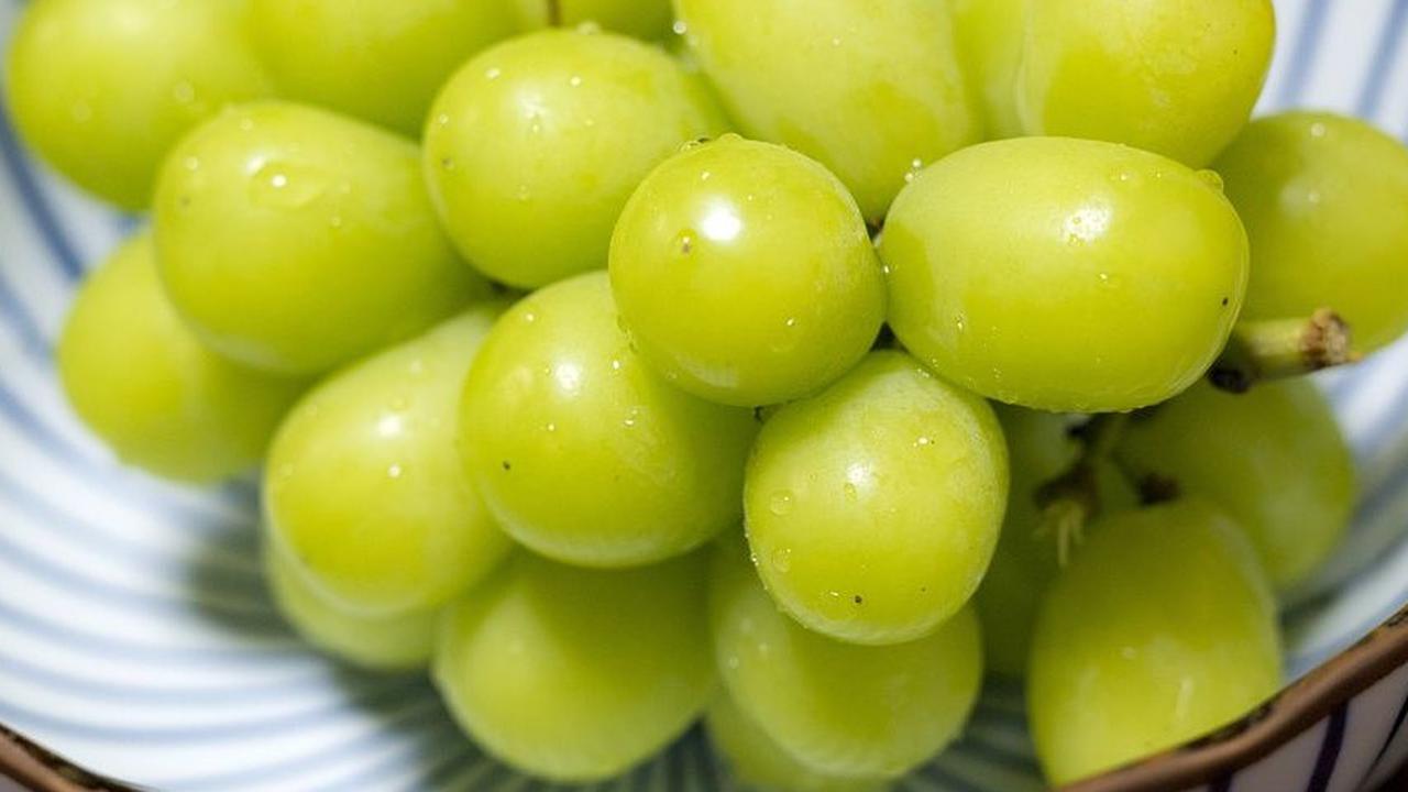 Manfaat Anggur Muscat Bagi Kesehatan, Anggur Bertekstur Lembut Kaya Nutrisi