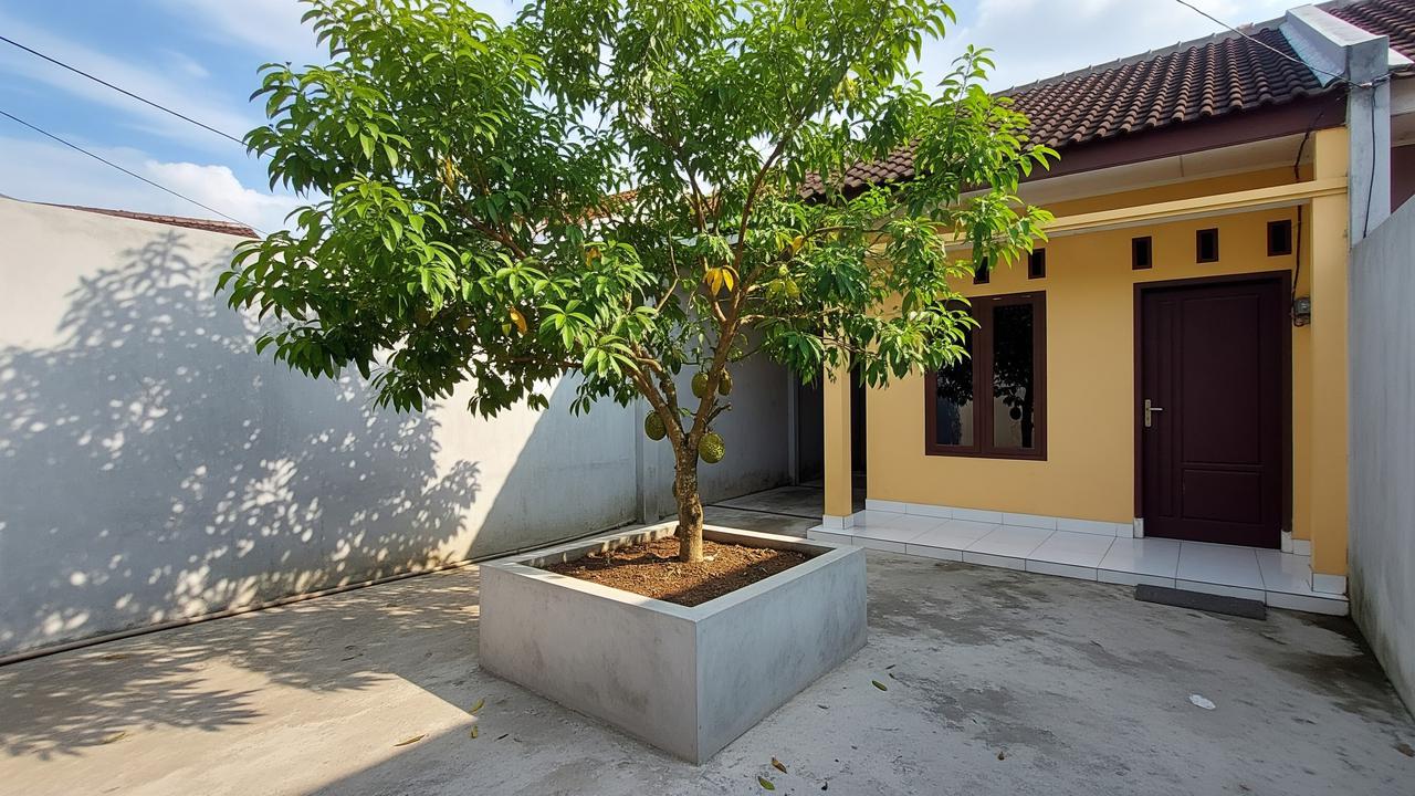 Pohon Buah yang Cocok Ditanam dalam Planter Box Beton Model Pohon Srikaya