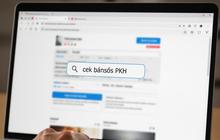 Cara Resmi Daftar Perlinsos Digital untuk Bansos 2027, Hindari Jebakan Phishing
