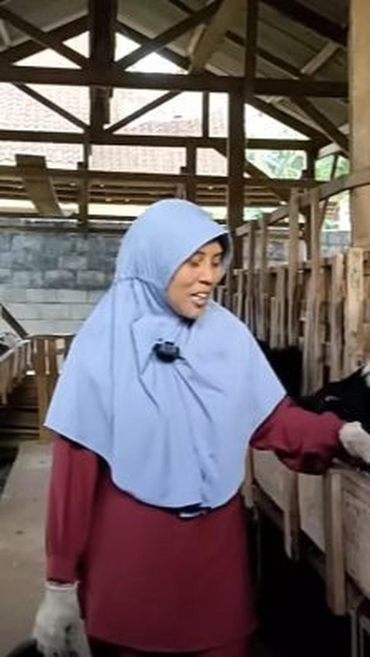 Ibu Sukses Beternak Kambing<br>