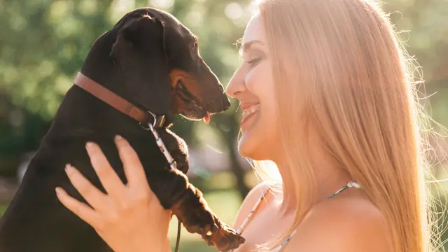 Dog and Owner