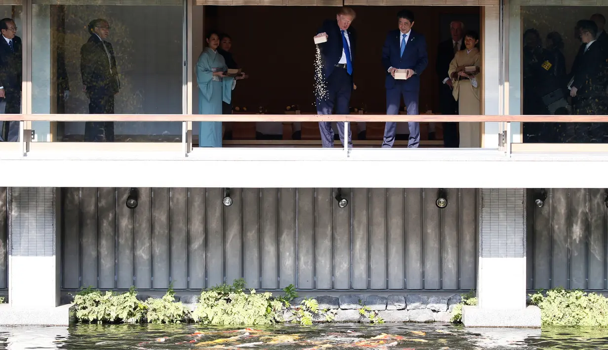 Presiden AS Donald Trump menuangkan seluruh makanan ikan miliknya ke kolam koi disaksikan PM Jepang Shinzo Abe, di Istana Akasaka, Tokyo, Senin (6/11). Tindakan Trump memicu kemarahan lantaran dianggap tidak sehat untuk para koi. (AFP PHOTO / TORU HANAI)