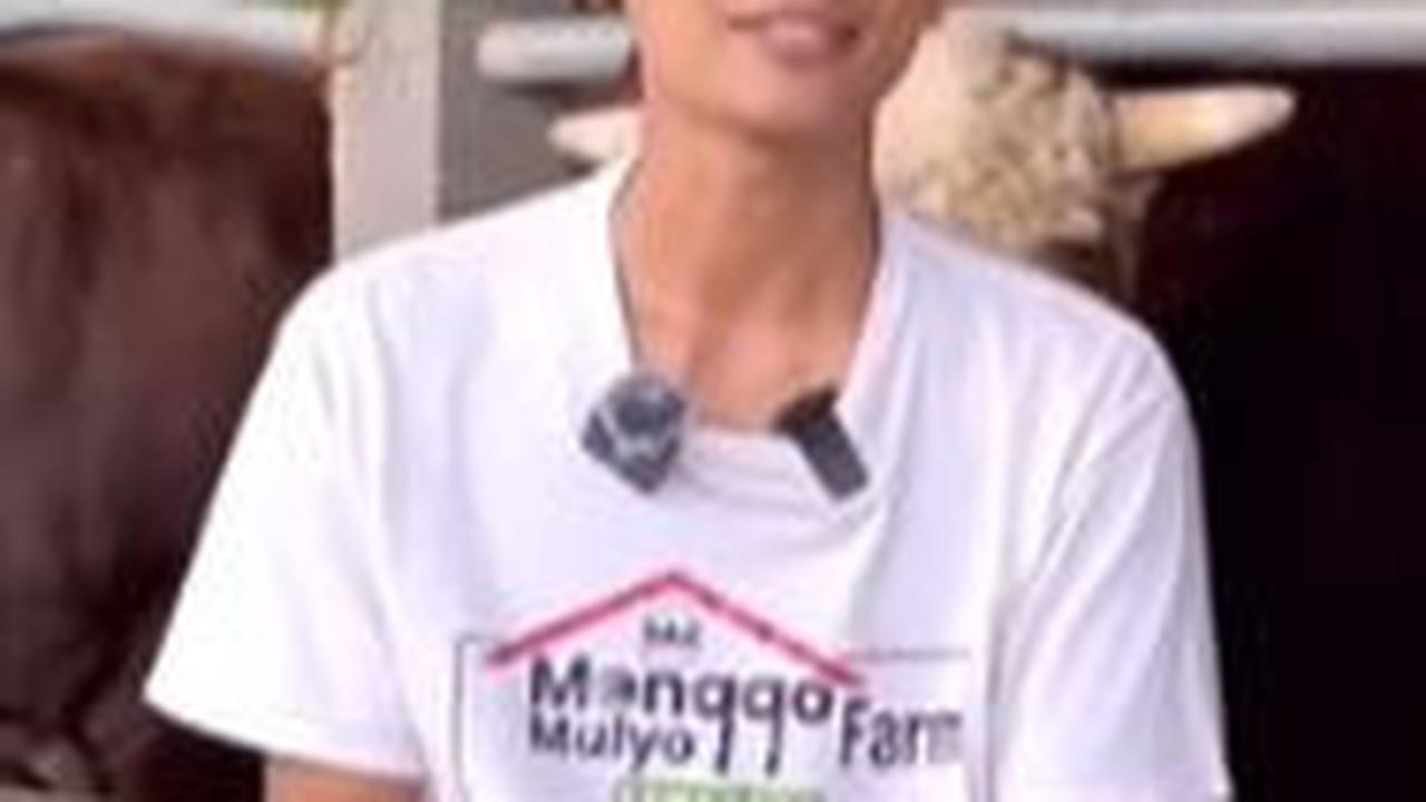"Akhirnya sharing dengan keluarga, kakak, istri, akhirnya saya beranikan diri untuk membuat kandang sapi ini," ceritanya. <br>
