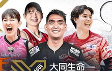 Pertandingan Japan SV.League 2025 Kini Bisa Disaksikan di Vidio, Tonton Aksi Rivan Nurmulki Yuk!