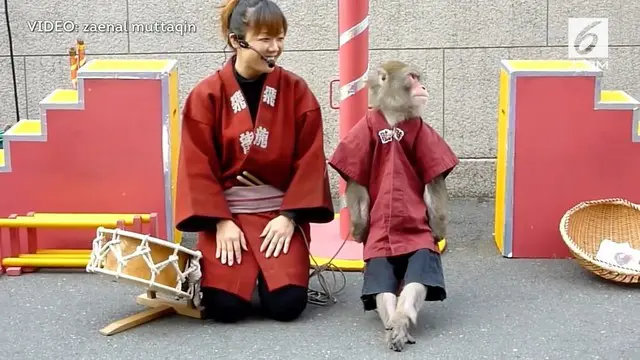 Bukan hanya di Indonesia, pertunjukkan topeng monyet juga ada di jalanan Jepang.