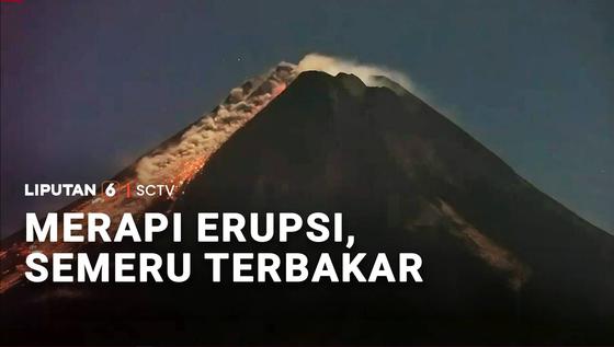 Merapi Erupsi, Semeru Terbakar