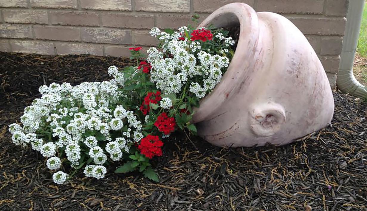 Pot Bunga Tumpah Inspirasi Desain Taman Rumah Cantik Dan 