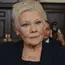 Judi Dench adalah seorang aktris sekaligus penulis senior yang berasal dari Inggris