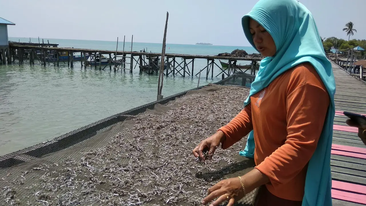 Seorang warga Natuna sedang menjemur hasil laut. (Liputan6.com/Ajang Nurdin)