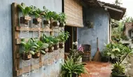 8 DIY Pot Hidroponik dari Botol Bekas Air Mineral, Langkah Mudah untuk Pemula