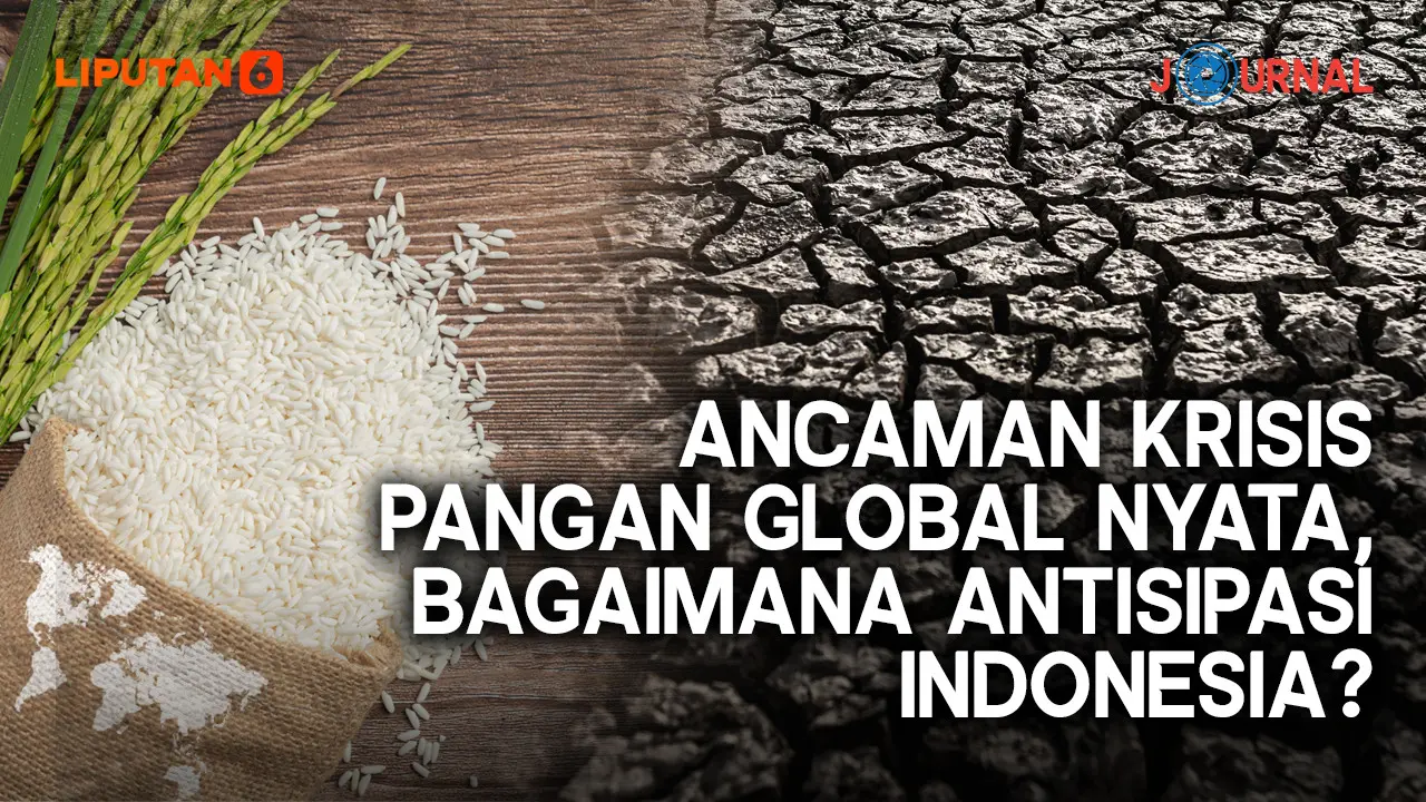 Ancaman Krisis Pangan Global Nyata, Bagaimana Antisipasi Indonesia?