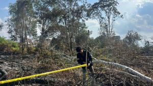 Polres Pelalawan Tetapkan S sebagai Tersangka Pembakar Lahan Hutan untuk Sawit
