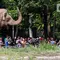 Pengunjung Ragunan Capai 135.500, Pramono Anung Sebut Pecahkan Rekor