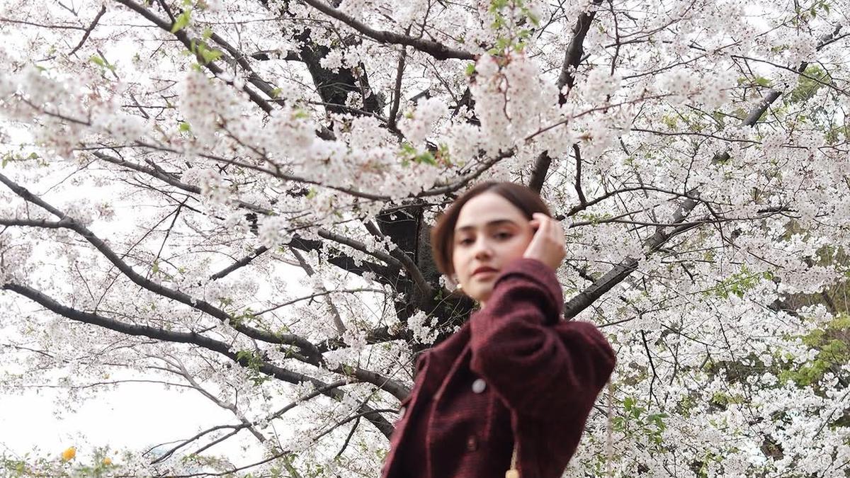 Gaya Syifa Hadju Tampil Elegan Nikmati Bunga Sakura di Jepang dengan Tas Kamera Chanel Seharga Rp95,7 Juta