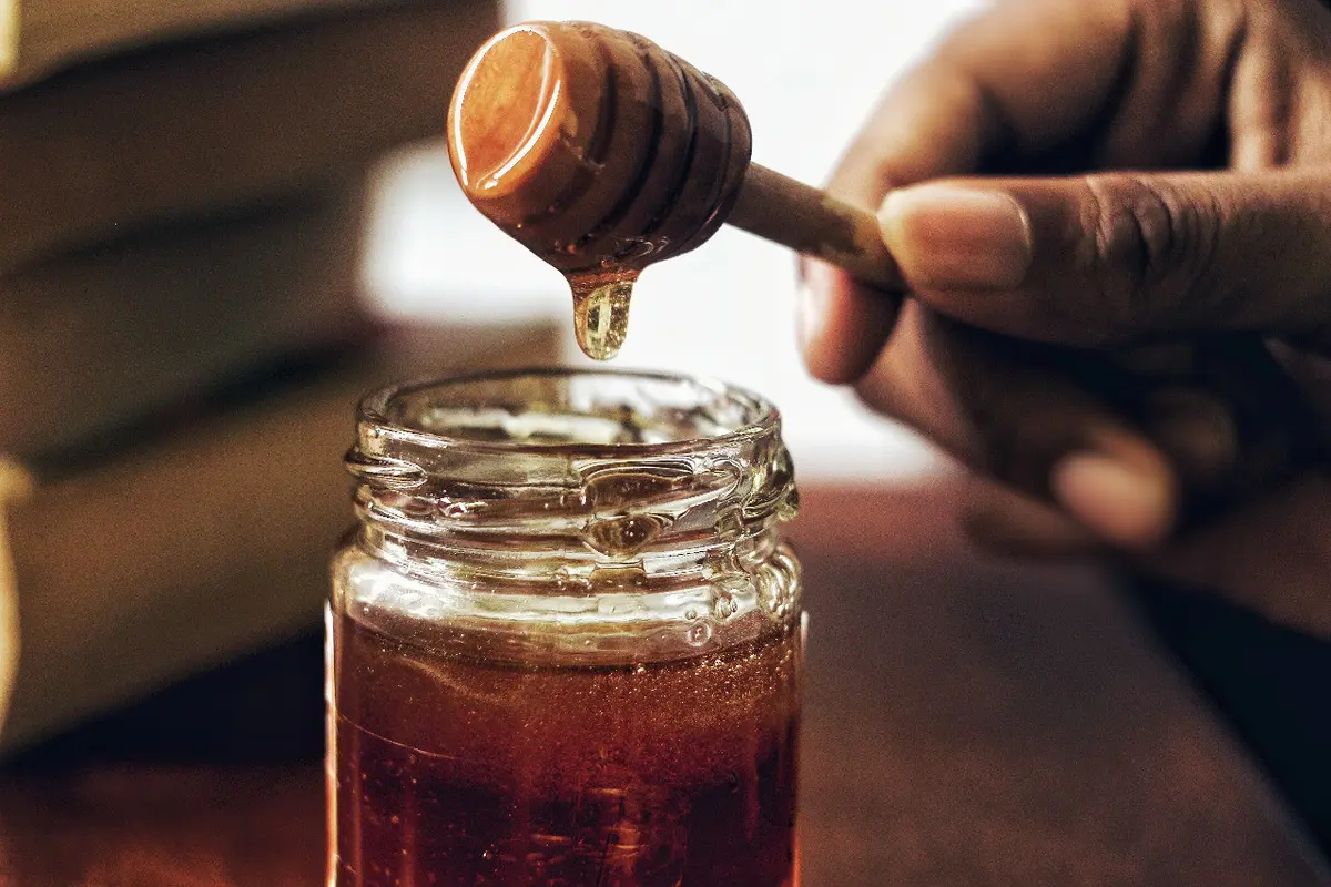 Ilustrasi madu manuka