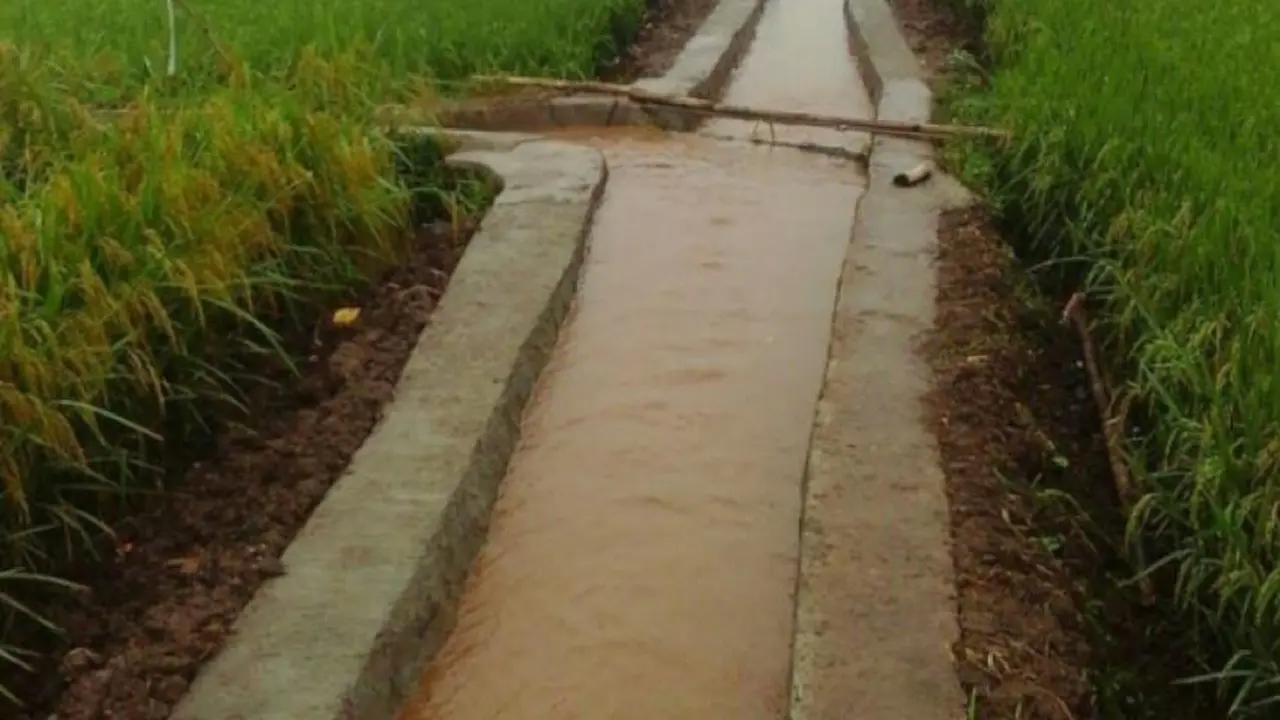 RJIT Kementan Targetkan 50 Ha Lahan Terairi di Cikancung Bandung