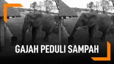 Gajah Peduli Sampah