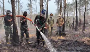 Selang Air Dibentang 3 Km, Mengapa Kebakaran Way Kambas Sulit Padam?