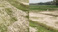 Puncak Kemarau, Suhu Panas Lampung Tembus 37 Derajat Celsius