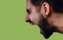 Ular Ternyata Bisa Mendengar Teriakan Orang, Ini Buktinya