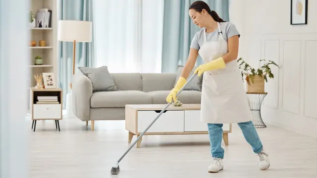 Cara Jitu Mengusir Nyamuk dari Dalam Rumah, Ternyata Semudah Itu Lho