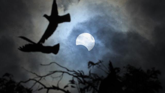 Momen Indah Gerhana Matahari Cincin di Berbagai Negara