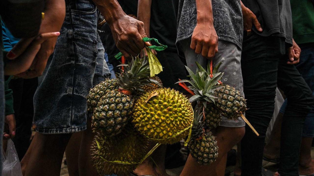 FOTO: Wow! Ribuan Durian Dibagikan Gratis saat Kenduri Durian