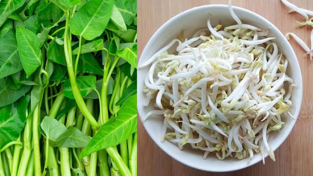 Trik Praktis Merebus Kangkung dan Tauge, Dijamin Anti Pahit