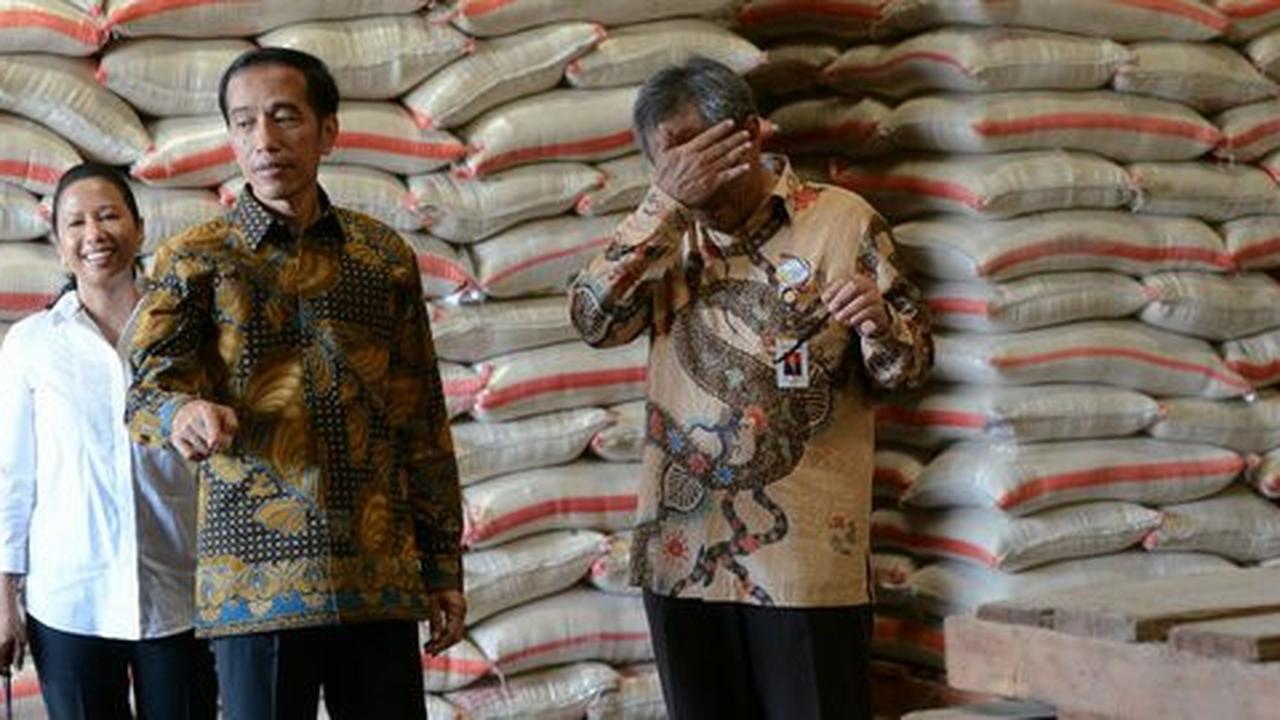 Presiden Jokowi menyerah, siap impor beras dari Vietnam akhir 2015