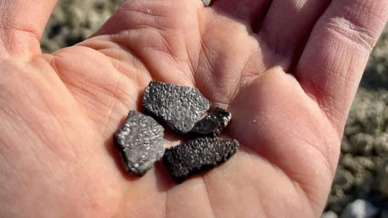 pecahan telur dinosaurus